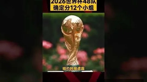 哈蘭德確信轉會皇馬，盼歐冠賽場驕橫一線